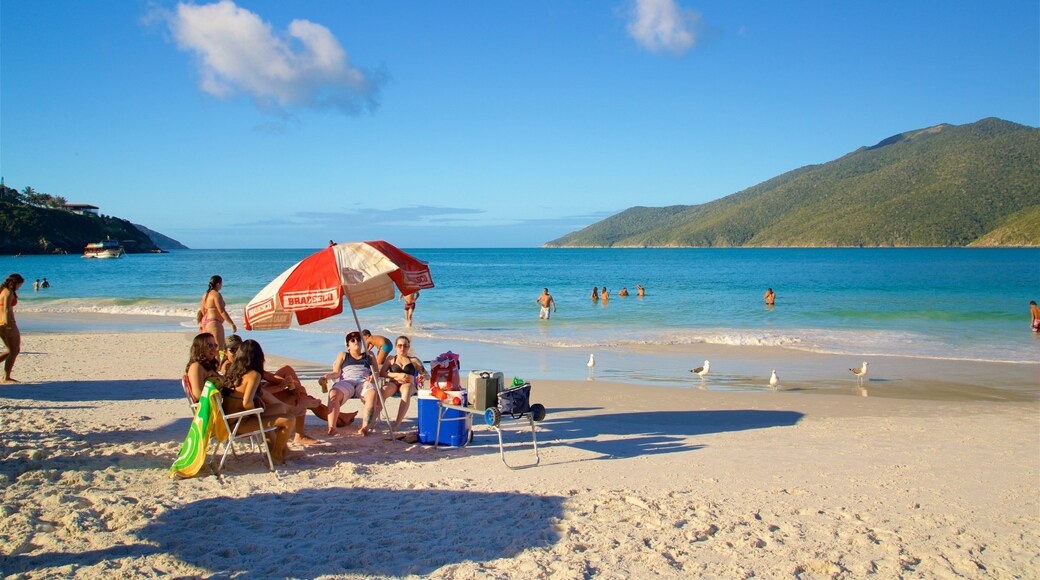 Pontal Beach which includes a sandy beach, swimming and general coastal views