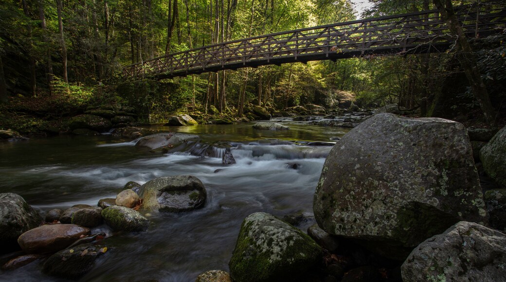 Bridge over Big Creek in the Great Smoky Mountains National Park