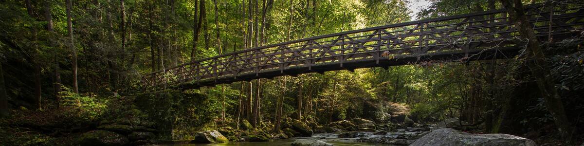 Bridge over Big Creek in the Great Smoky Mountains National Park