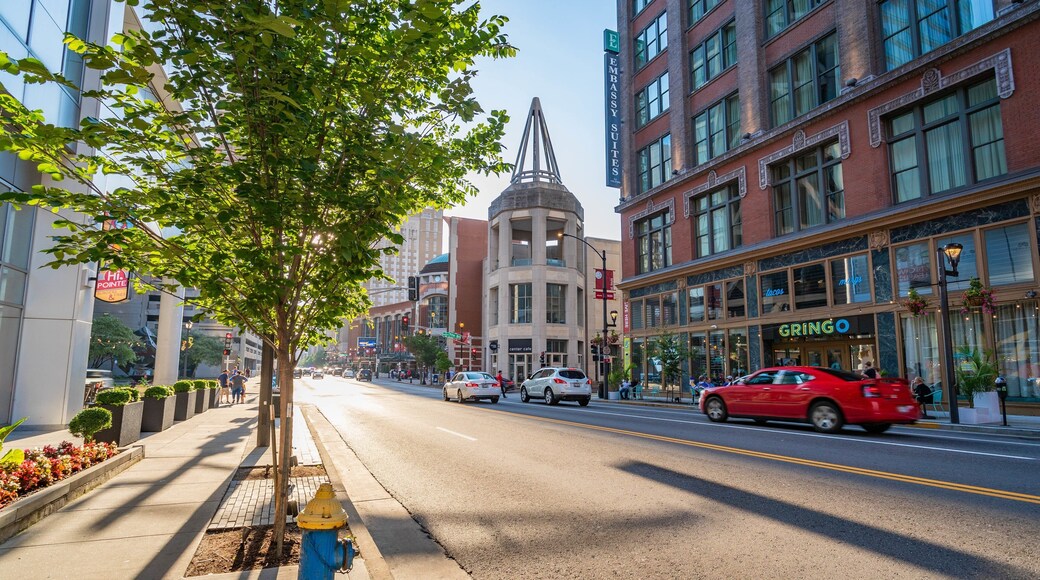 Washington Avenue Historic District