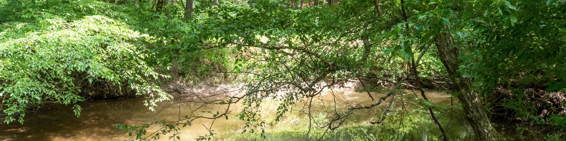 Quarantine Hike Through Maryland Park along Northwest Branch Anacostia River