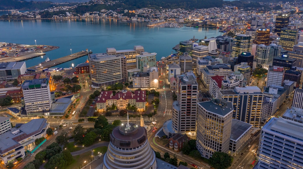 Wellington city at Twilight. high angle view