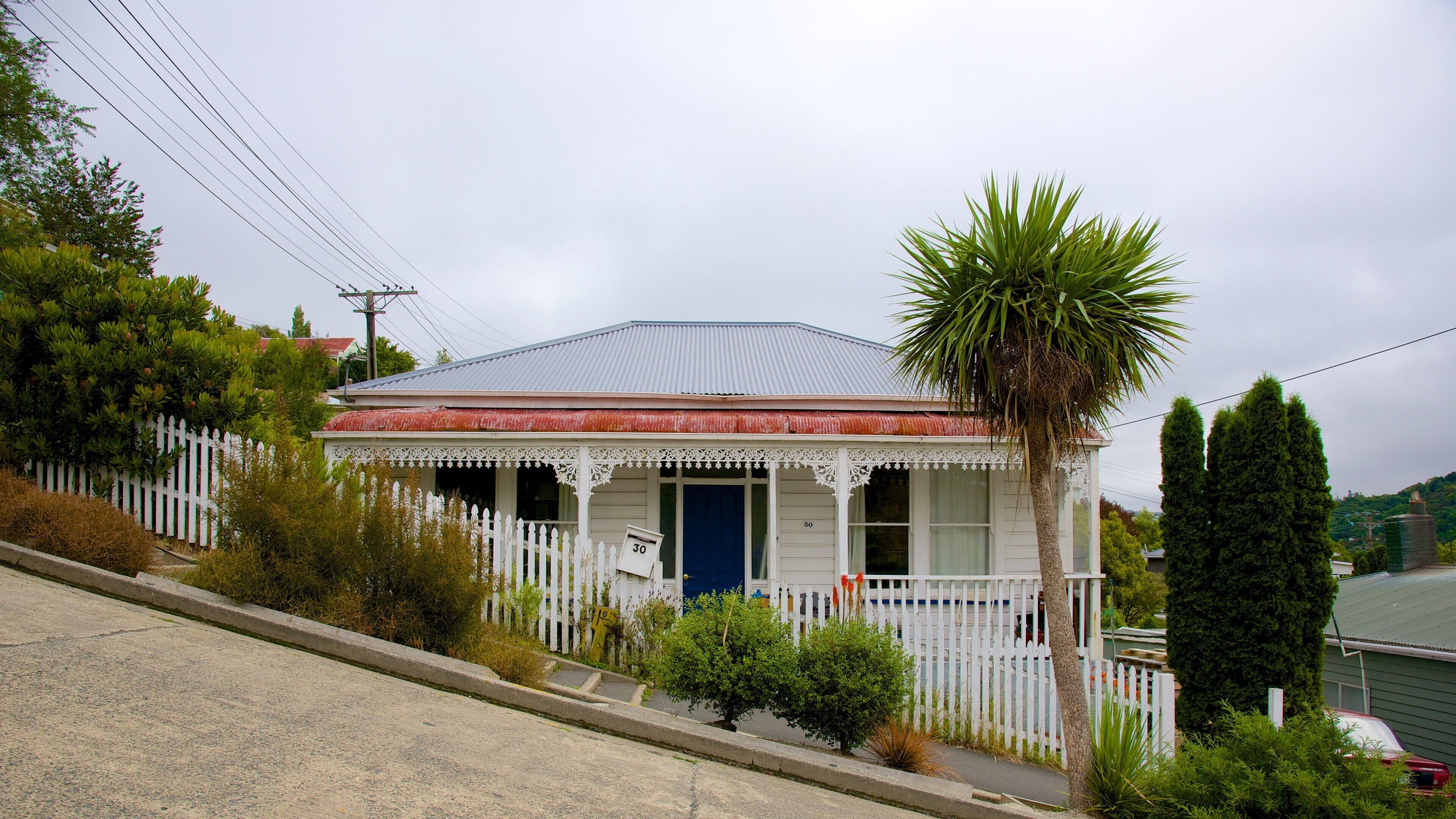 Baldwin Street caratteristiche di casa