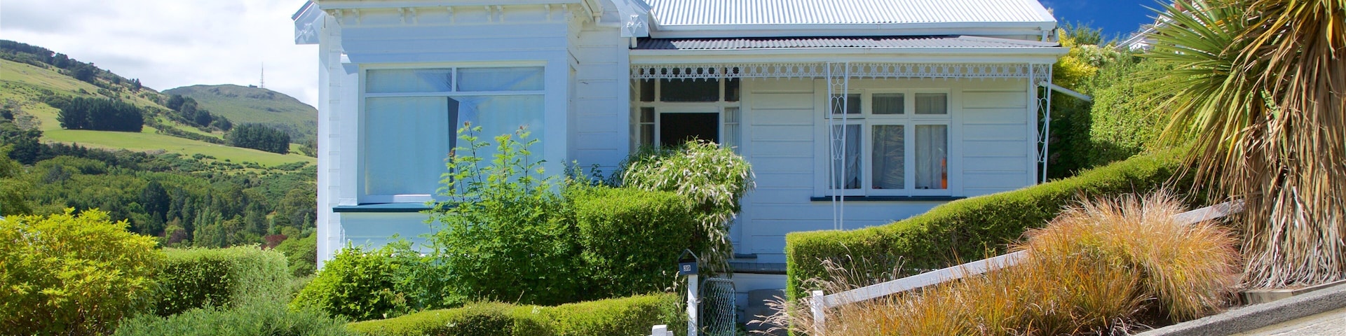 Baldwin Street