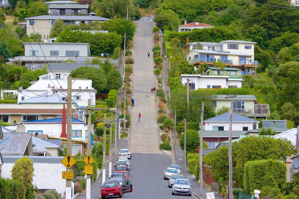 A residential street with houses, parked cars, and a steep hill.