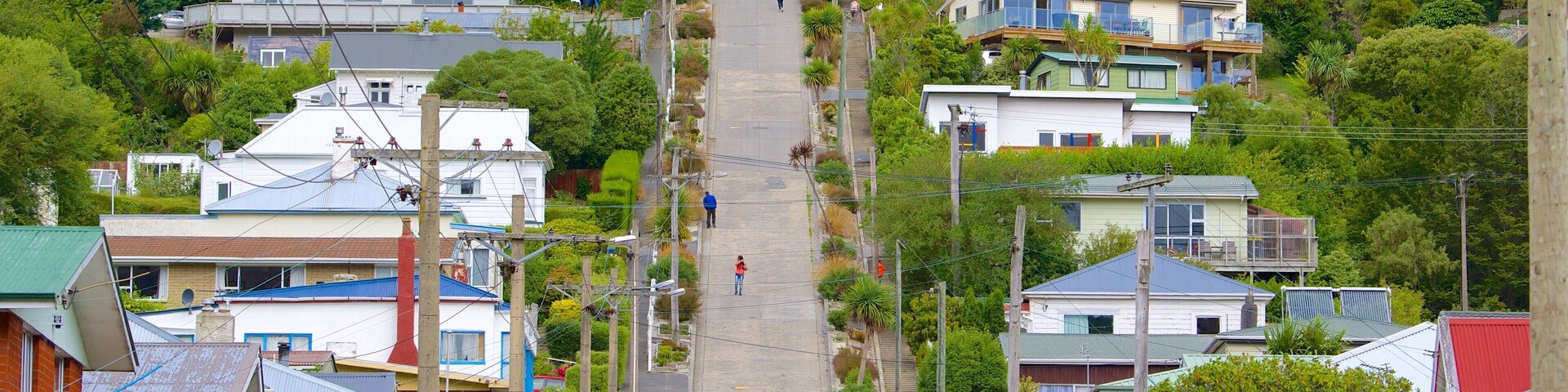 Baldwin Street mostrando imágenes de calles