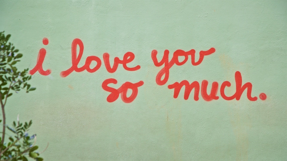 South Congress Avenue showing outdoor art