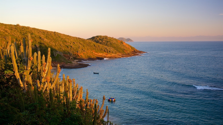 Joao Fernandes Viewpoint showing general coastal views, a sunset and landscape views