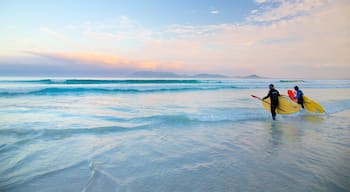 Forte Beach which includes kayaking or canoeing, a sunset and general coastal views