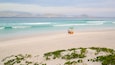 A beach with a colorful cart and a person in the distance.
