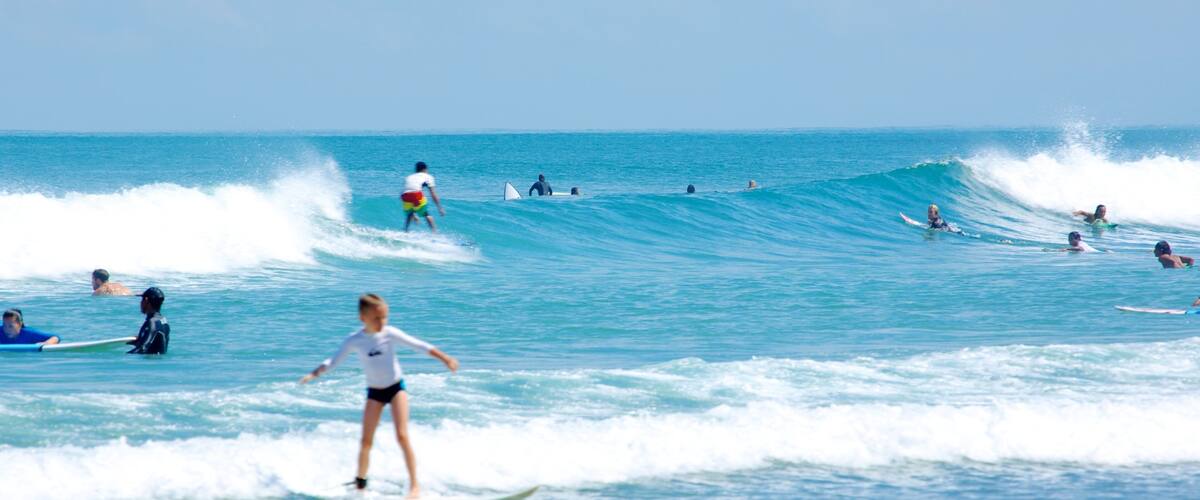 A group of surfers in the ocean with waves suitable for surfing.