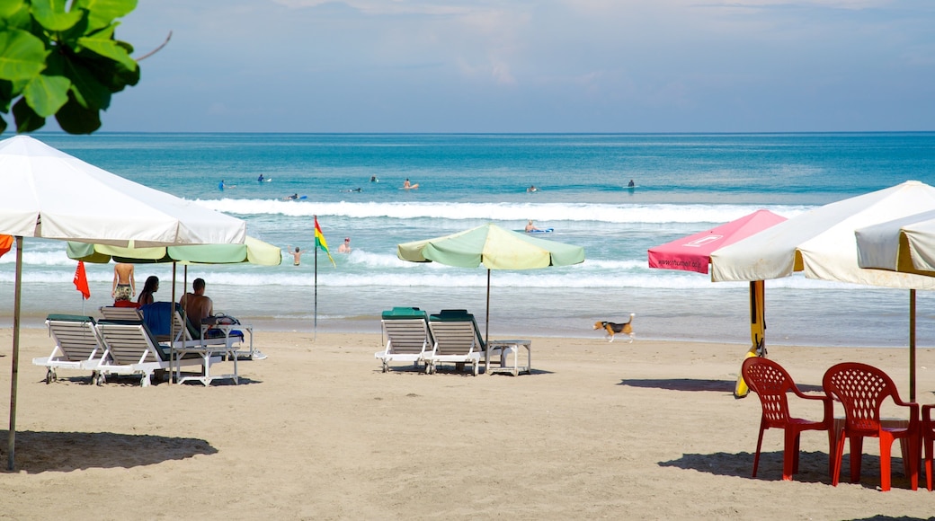 雙六海灘 其中包括 熱帶景觀 和 沙灘