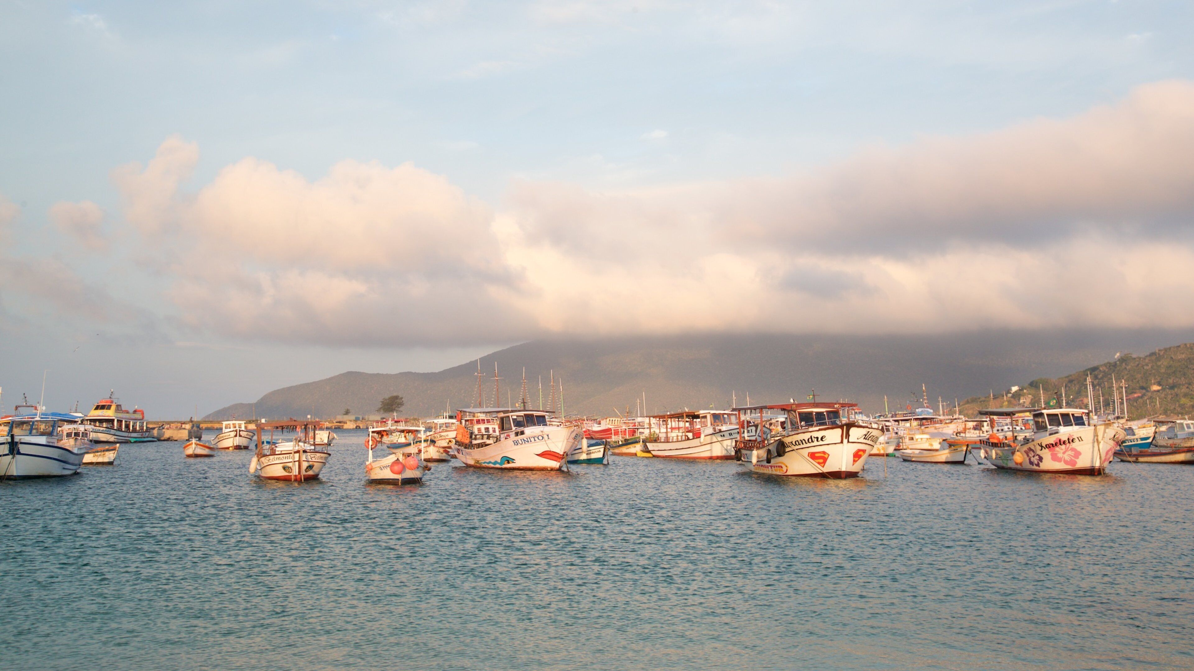 Forno Port which includes a sunset and a bay or harbor