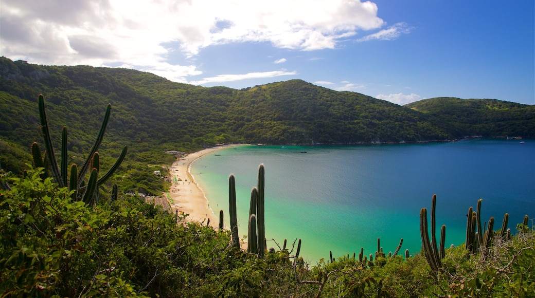 Forno Beach which includes landscape views and general coastal views