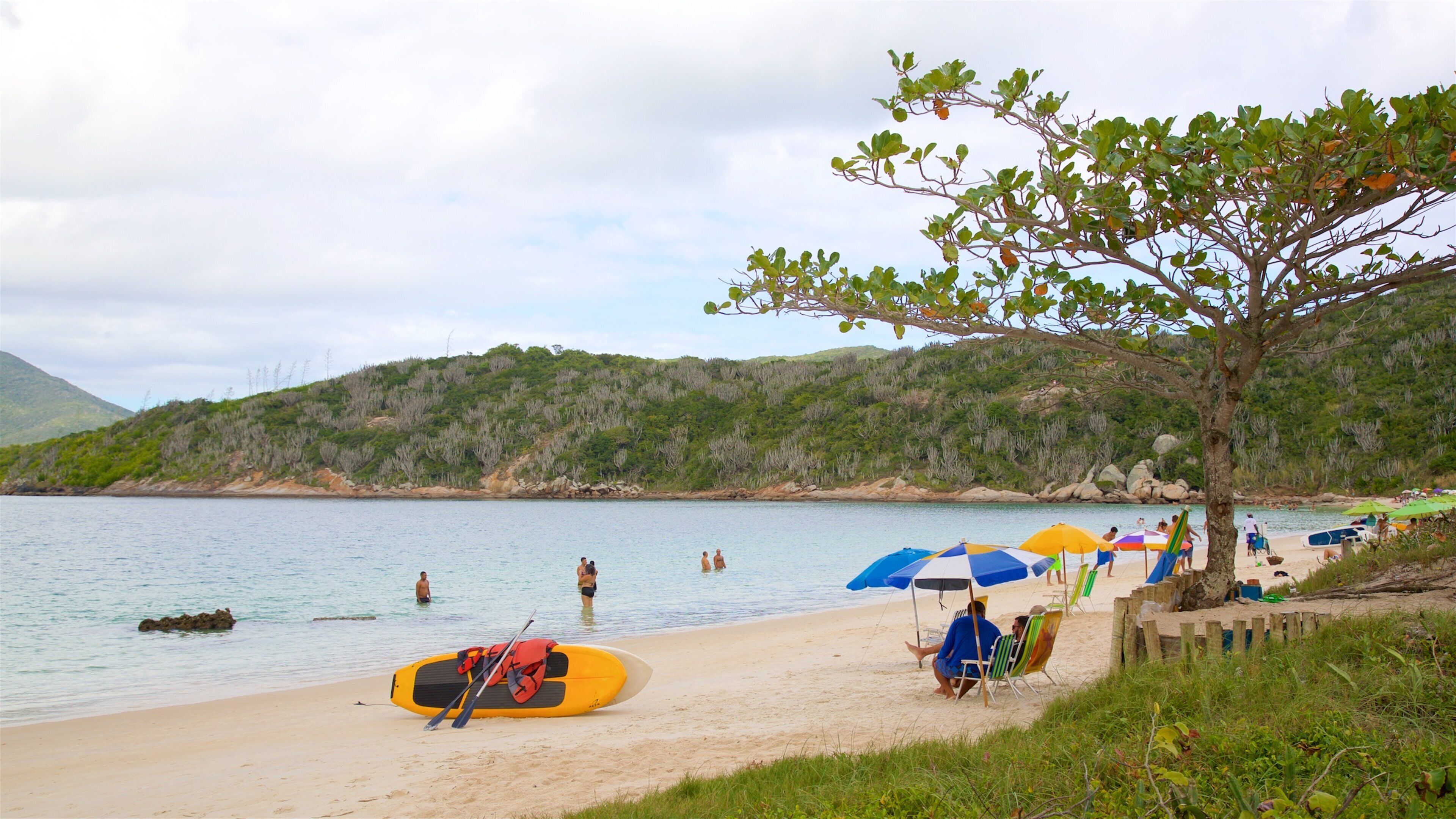 Forno Beach showing a beach, swimming and general coastal views