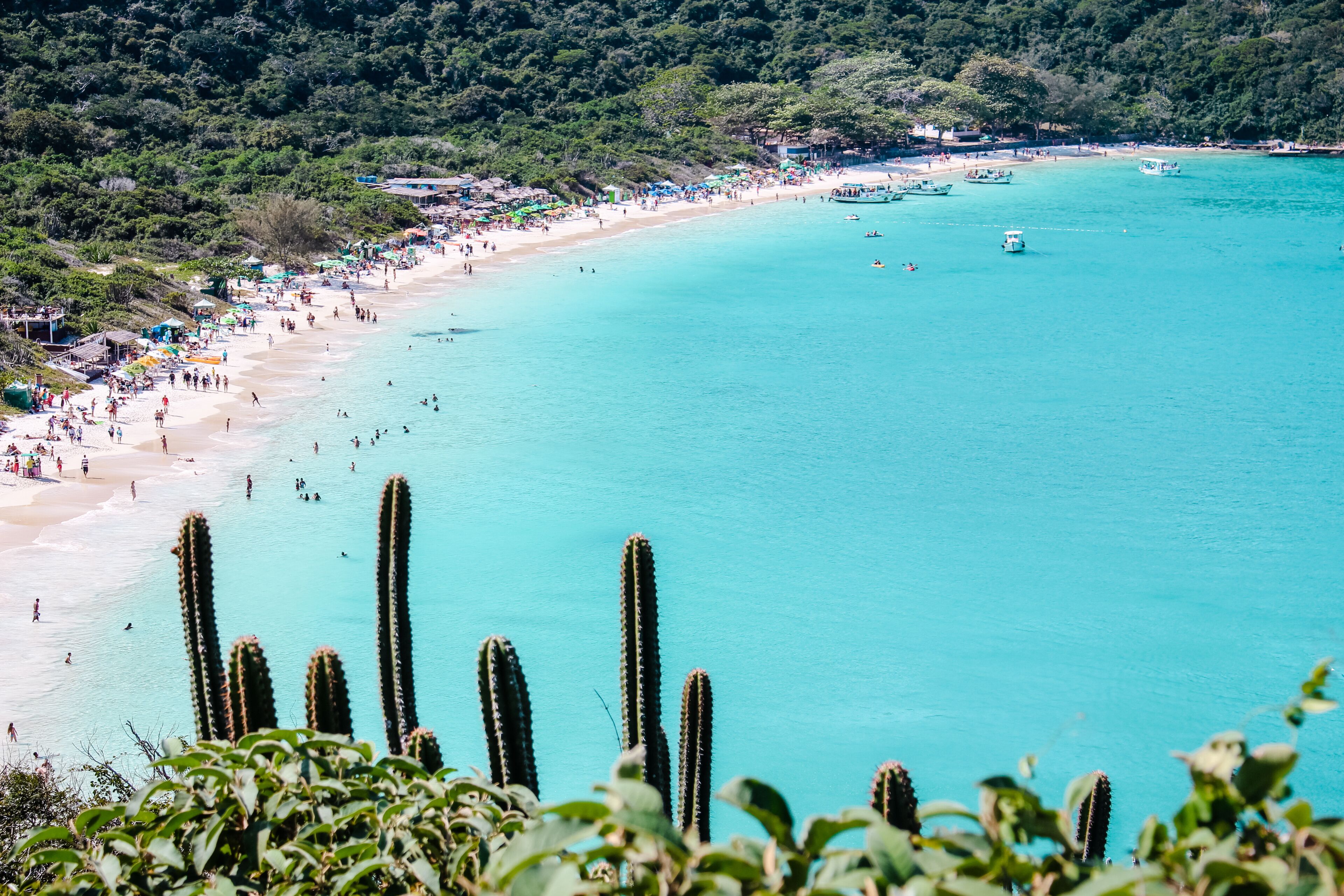 Una playa con aguas turquesas cristalinas, cactus en primer plano y una ladera boscosa al fondo.