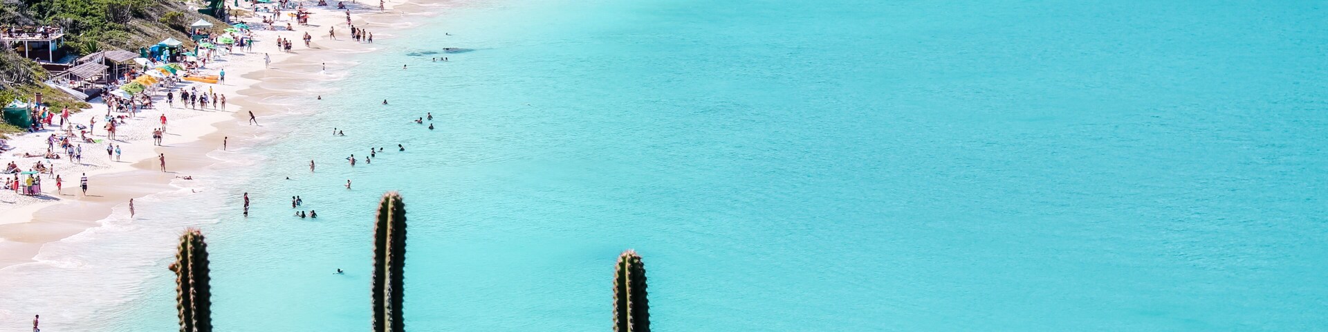 Una playa con aguas turquesas cristalinas, cactus en primer plano y una ladera boscosa al fondo.