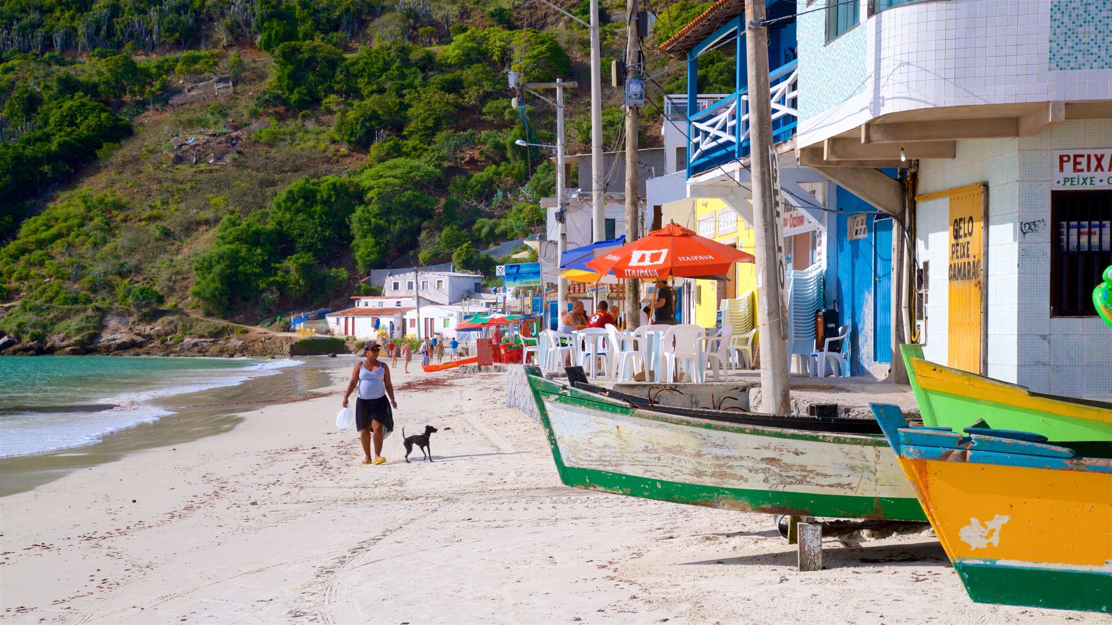 Playa Prainha mostrando animales domésticos, una playa y vistas de una costa