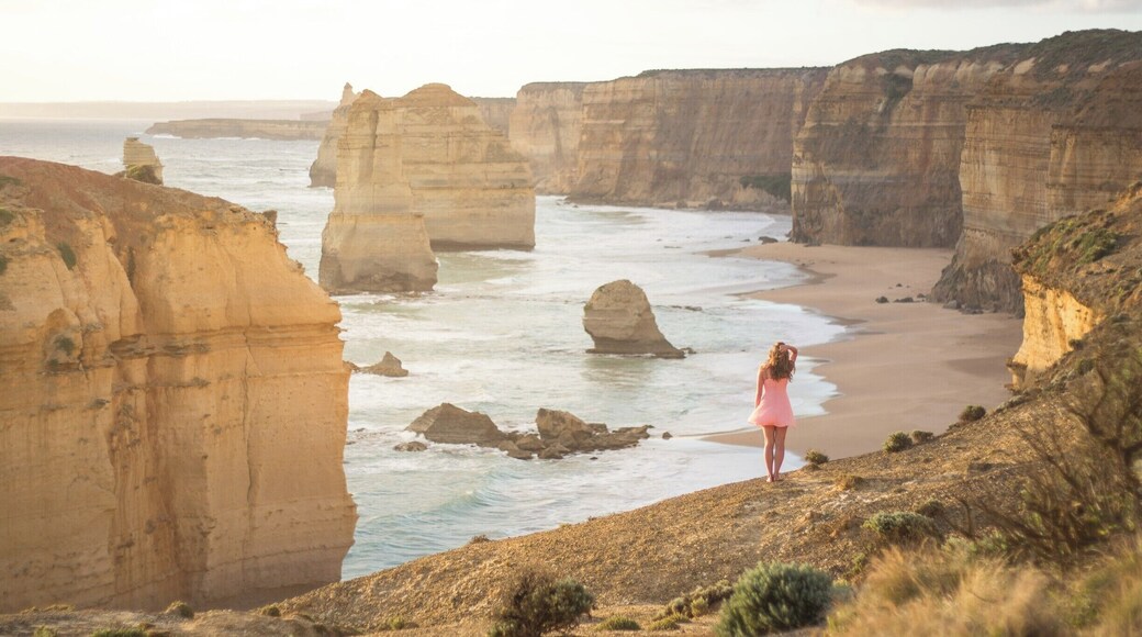 The 12 apostles in Australia. There are only 9 left but they are still called the 12 apostles. If you want a nice picture of the apostles, go when the sun is setting. And while you are there, go and look for koalas, they are everywhere.
#BvSApplication