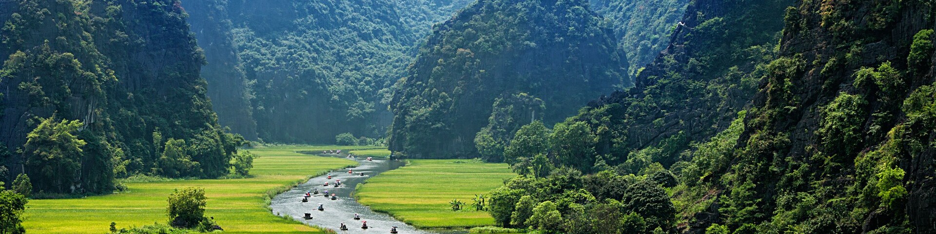 Rice field and river, NinhBinh, vietnam landscapes