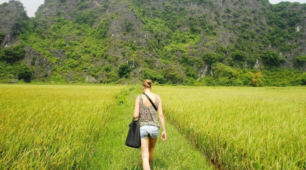 Walking through the rice fields in Tam Coc. A must-see place in Vietnam that is skipped by loads of people. Which only makes it better, since it's not that touristic as other places in VN. #weekendgetaway