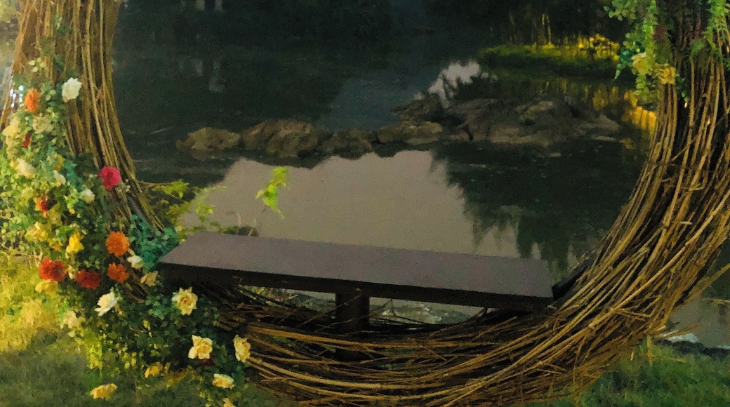 Bird park in Ninh Binh