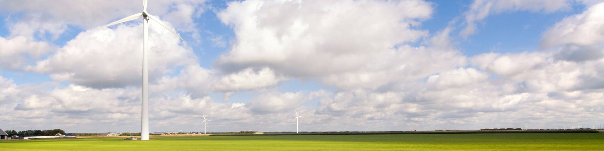Flat and vibrant green summer polder landscape in The Netherlands. Shot against a blue clouded sky.