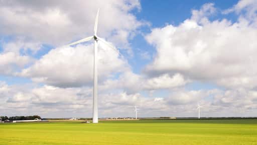 Flat and vibrant green summer polder landscape in The Netherlands. Shot against a blue clouded sky.
