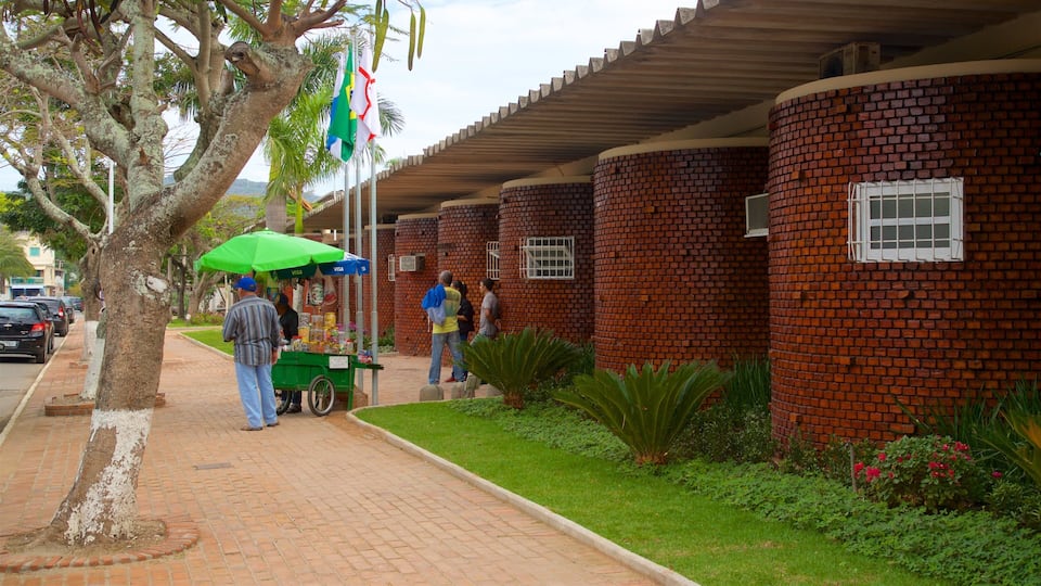 Arraial do Cabo Municipal City Hall showing street scenes as well as an individual male