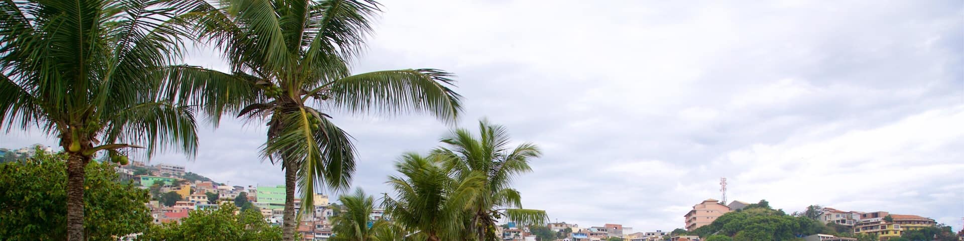 Hermes Barcellos Public Park which includes a coastal town and a lake or waterhole