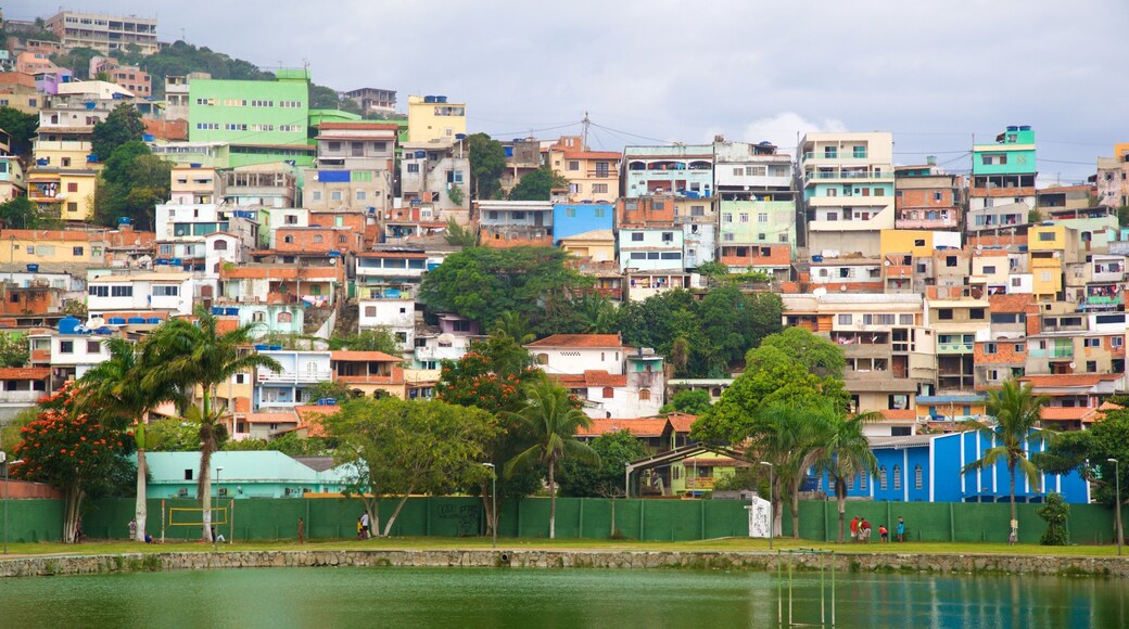 Hermes Barcellos Public Park which includes a lake or waterhole and a city