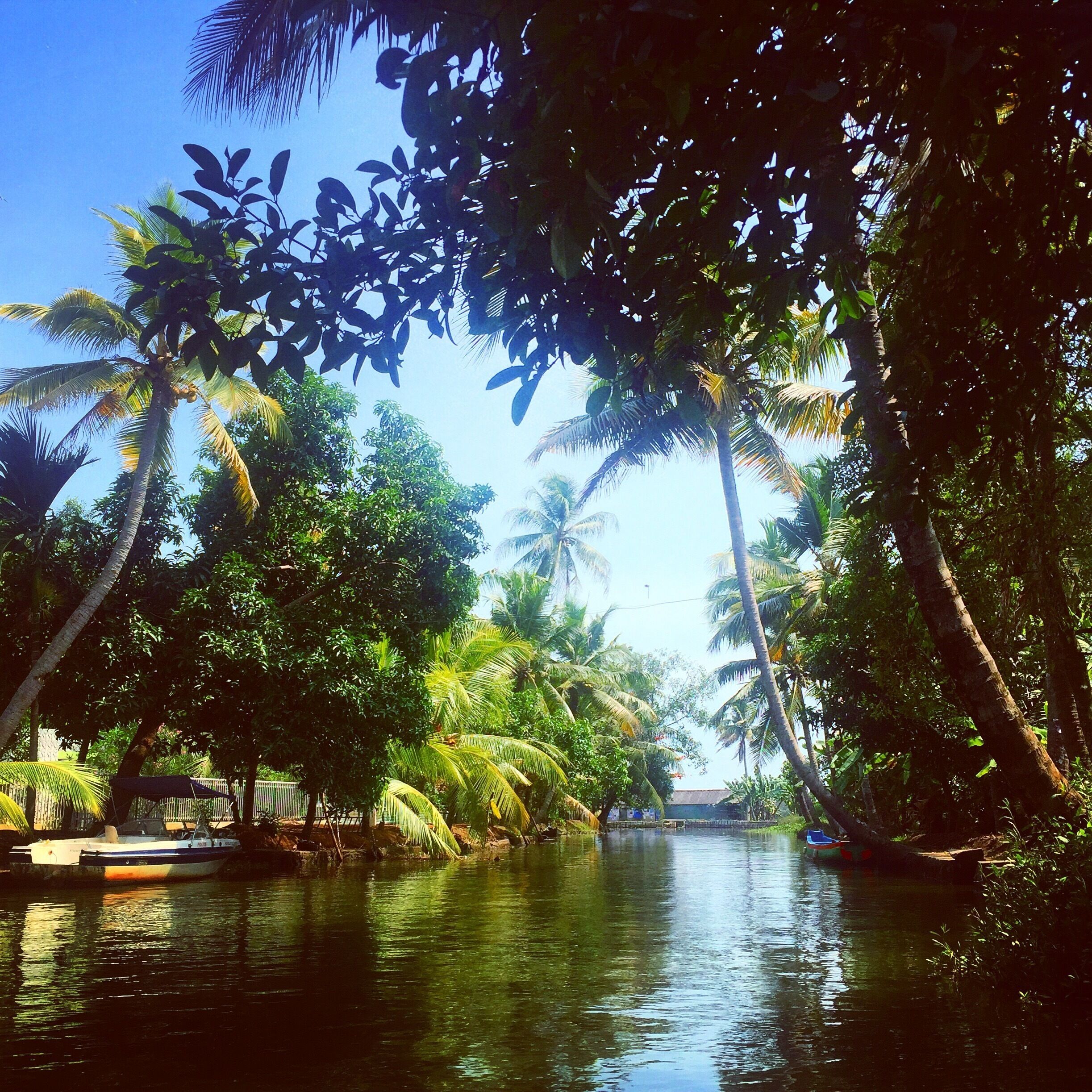 Through the gorgeous Alleppey backwaters. Narrow winding canals and beautiful village life. #Green