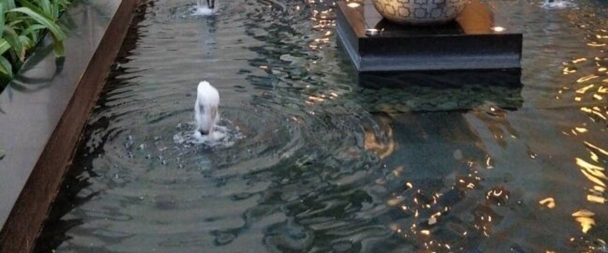 The only Ritz in India. Very attentive staff with nicely appointed rooms.