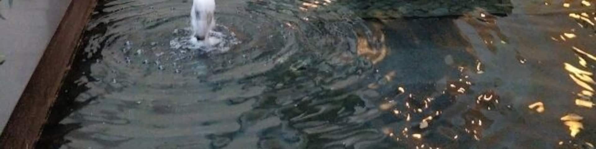 The only Ritz in India. Very attentive staff with nicely appointed rooms.