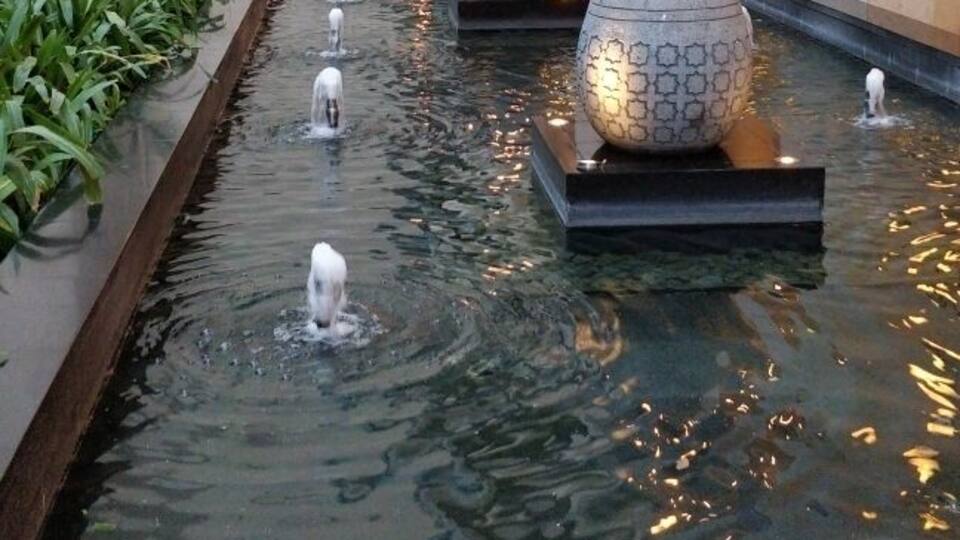 The only Ritz in India. Very attentive staff with nicely appointed rooms.