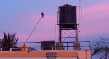 A part of the #urbanjungle