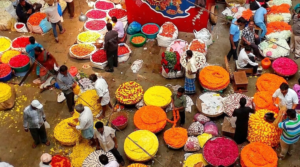 Flowers Flowers Flowers
...