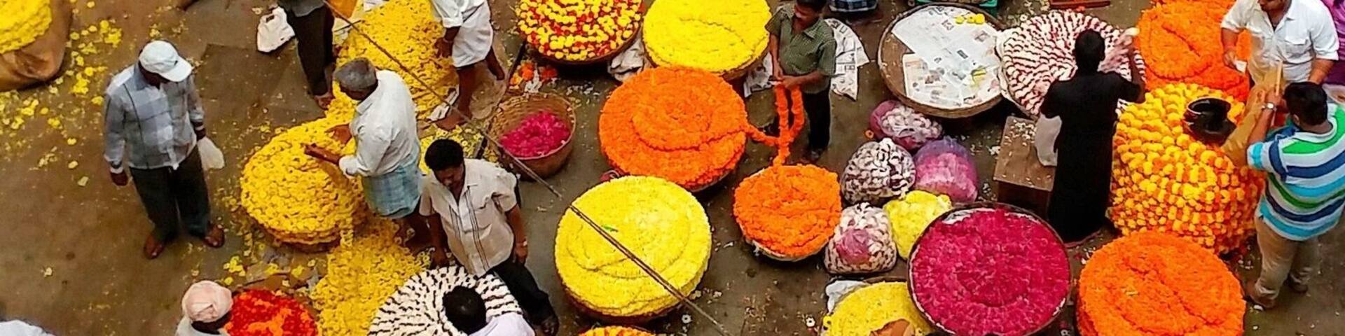 Flowers Flowers Flowers
...