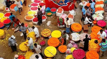 Flowers Flowers Flowers
...