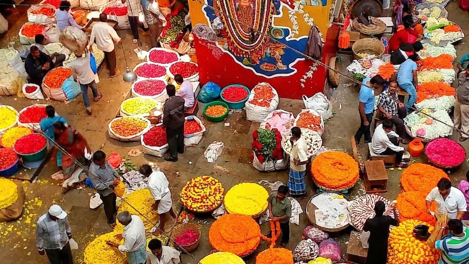 Flowers Flowers Flowers
...