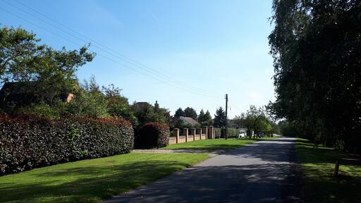 View along the leafy road.