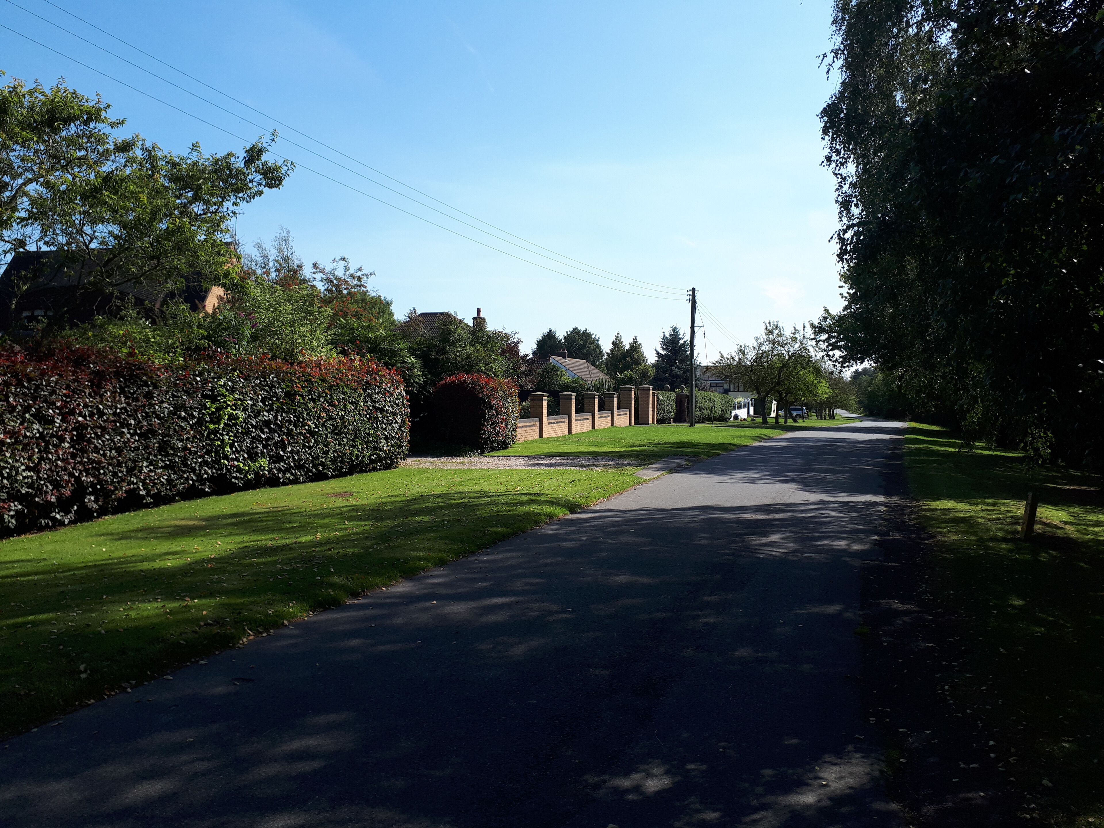 A quiet suburban street lined with lush green hedges and trees, leading to a residential area with houses and a clear blue sky.