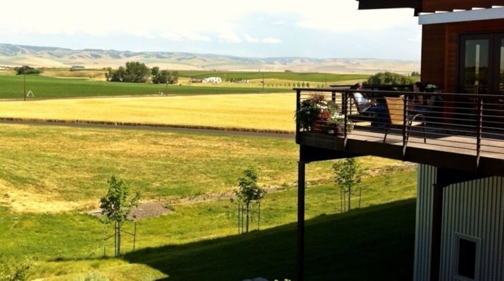 Beautiful and unpretentious, this winery recently moved their tasting room out of town and into a novel ski-lodge like structure atop one of the foothills south of town. The view is stunning, and the wines are fun and accessible. The same winemaker also works the upmarket Pepper Bridge wines, and Amavi is his outlet to experiment with different grapes, blends and vineyards. In addition to tastings, they'll also pour glasses - in case you just want to hang out on the deck and enjoy the view. Best enjoyed in the afternoon when the deck is shaded.