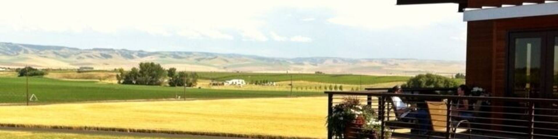 Beautiful and unpretentious, this winery recently moved their tasting room out of town and into a novel ski-lodge like structure atop one of the foothills south of town. The view is stunning, and the wines are fun and accessible. The same winemaker also works the upmarket Pepper Bridge wines, and Amavi is his outlet to experiment with different grapes, blends and vineyards. In addition to tastings, they'll also pour glasses - in case you just want to hang out on the deck and enjoy the view. Best enjoyed in the afternoon when the deck is shaded.