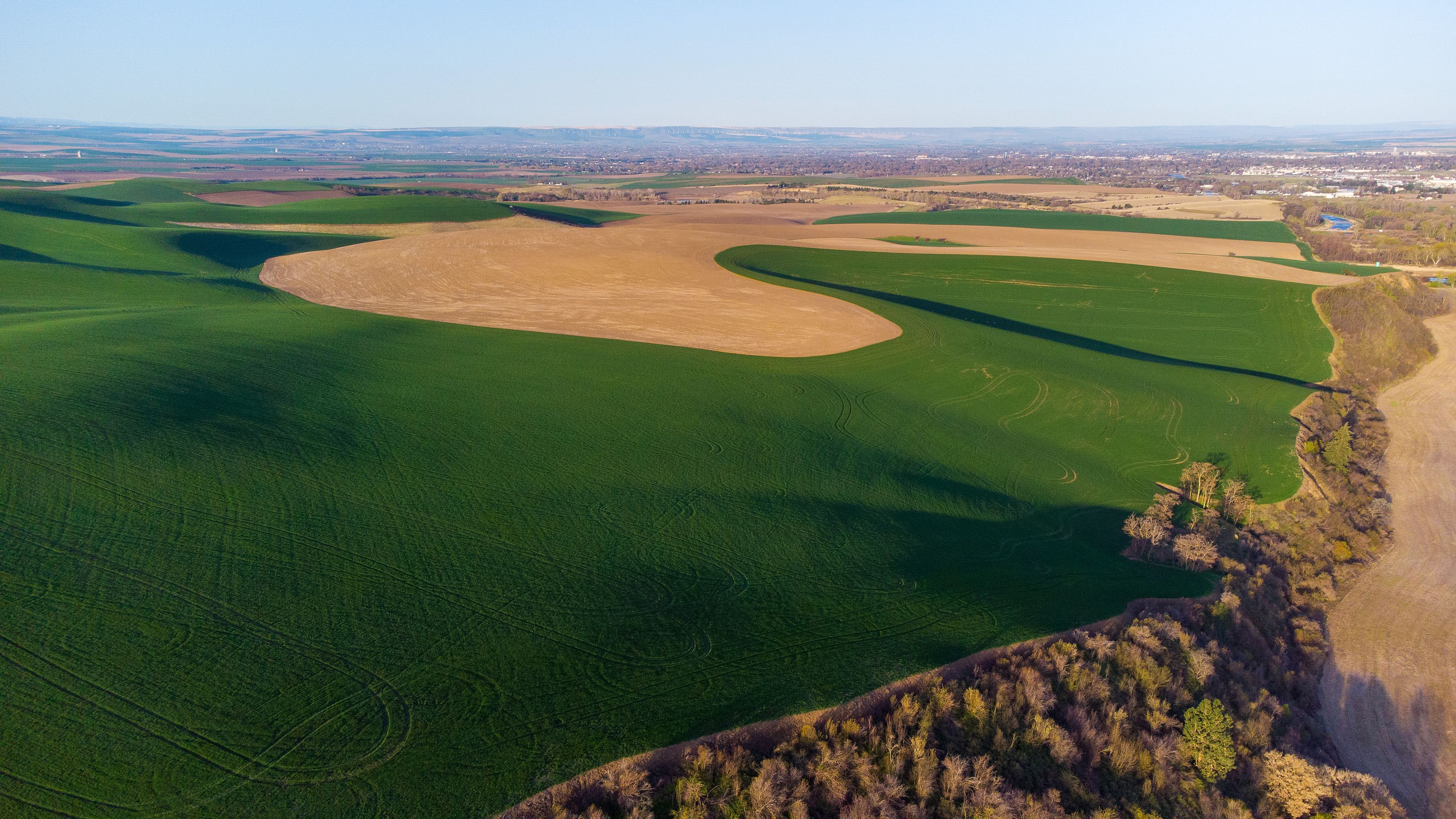 An aerial view of a large green field with a curved path, surrounded by a forested area and distant cityscape.