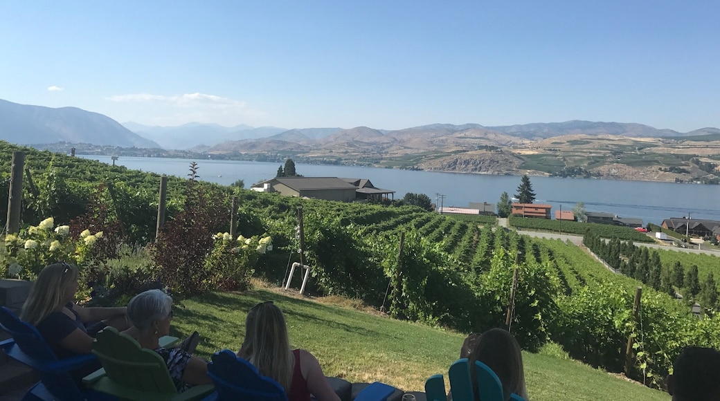 Great view of the big lake đ·