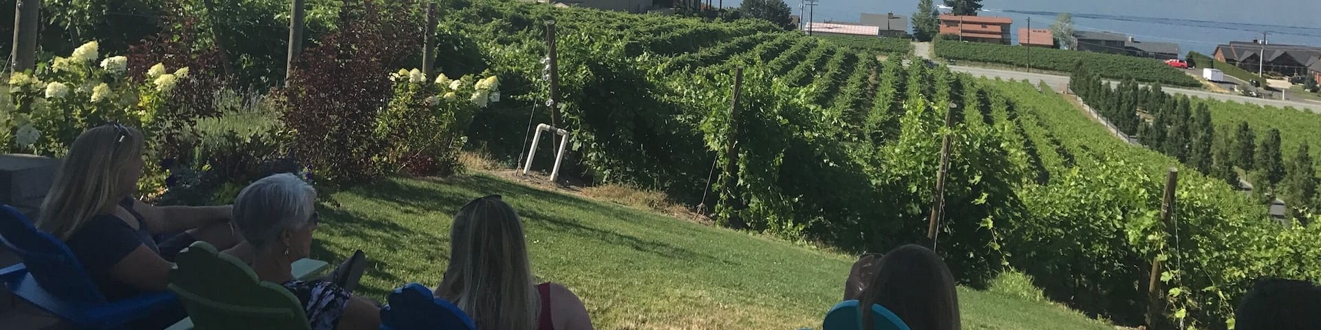 Great view of the big lake 🍷