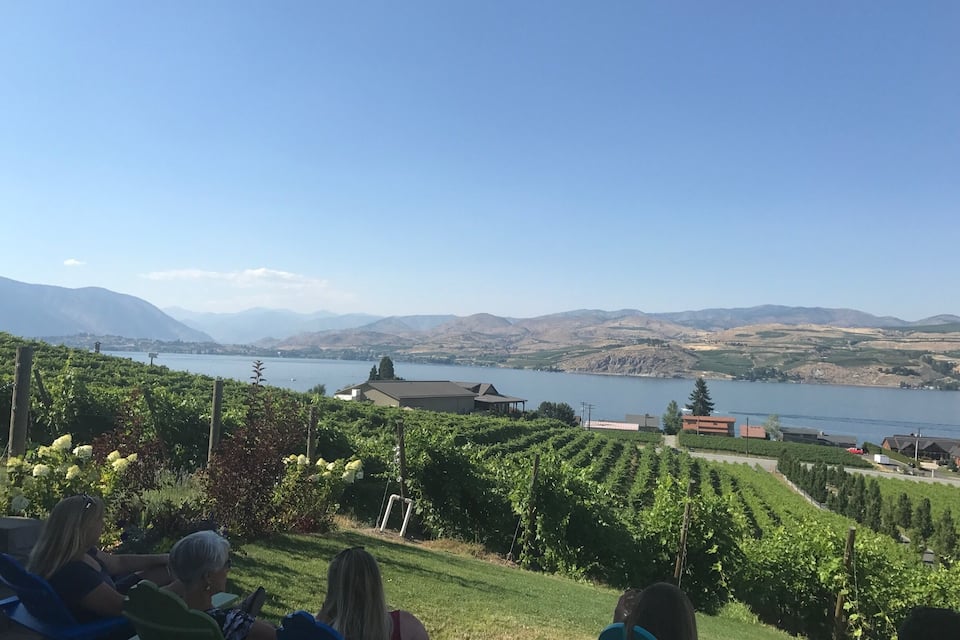 A vineyard overlooking a lake with mountains in the background.