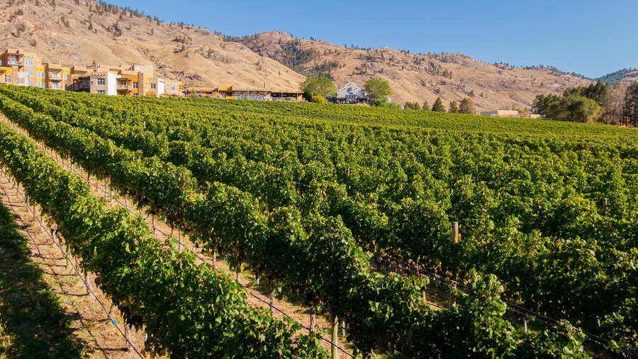 Nk\'Mip Cellars featuring farmland