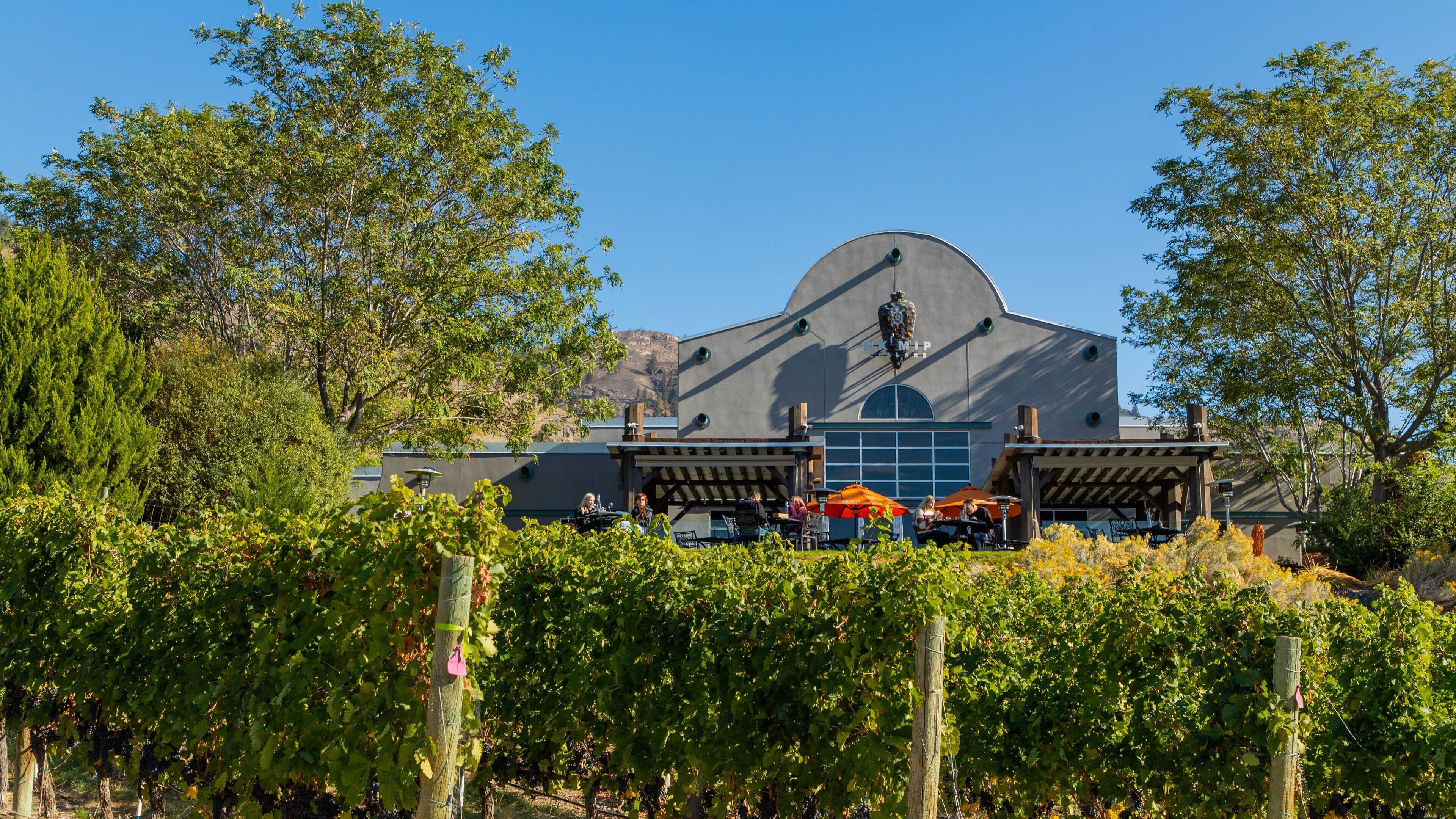 Nk\'Mip Cellars which includes farmland